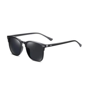 Classic Black Shades