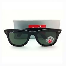 Polarized Wayfarer Shades
